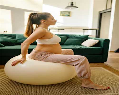 试管胚胎移植成功率究竟如何？权威数据解析