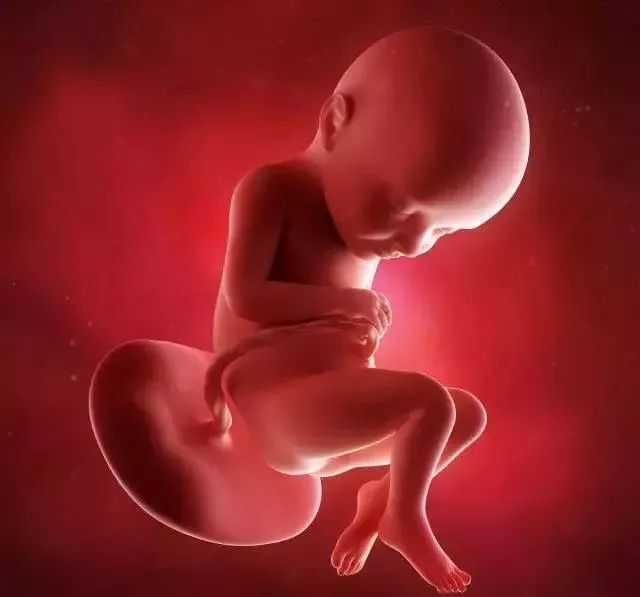 私立试管机构最新排名与选择指南