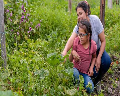 南昌妇幼试管助孕技术实力解析（成功率与包男孩选择）